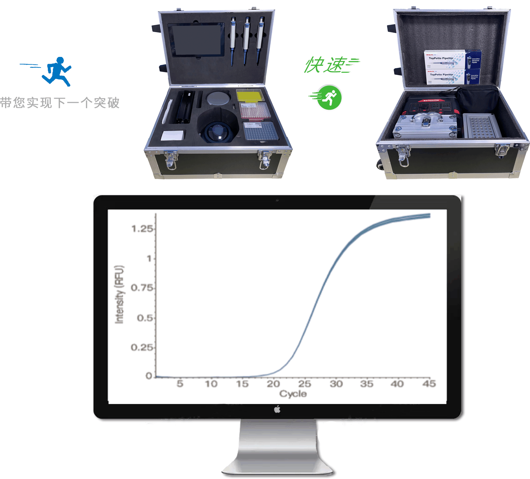 松材线虫分子检测系统